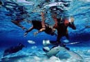 Scuba diving in Seychelles
